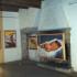 Casa Barnekov
