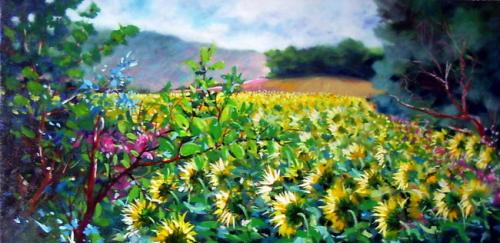 Girasoli al Vivaro