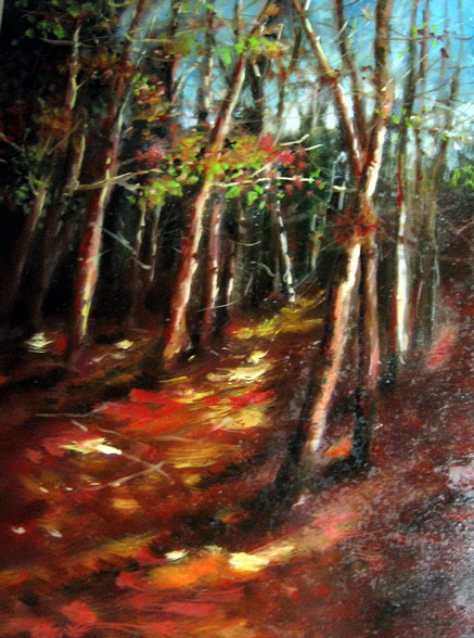 Luce nel bosco