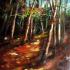 Luce nel bosco