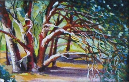 Il bosco