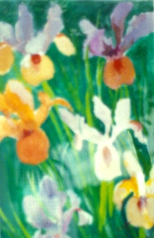 Iris