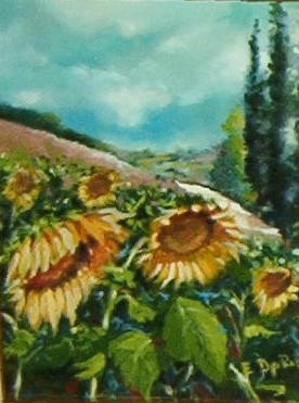 Girasoli