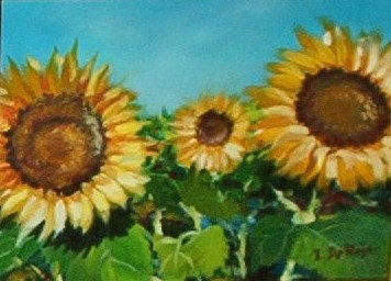 Girasoli