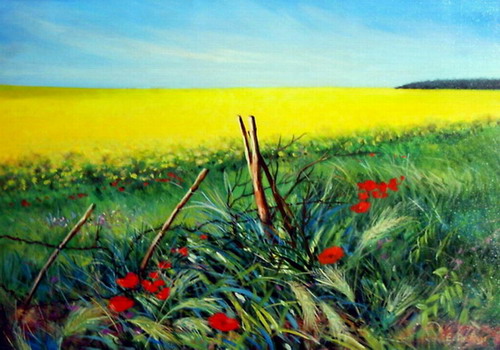 Campo di colza