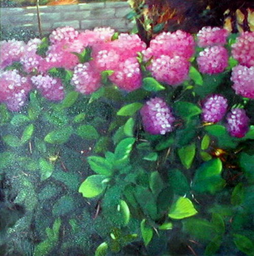 Ortensie