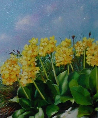 Fiori gialli