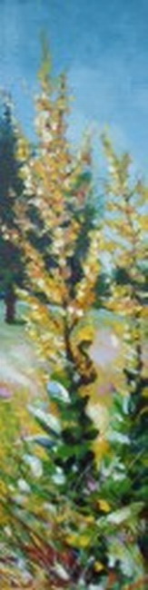 25