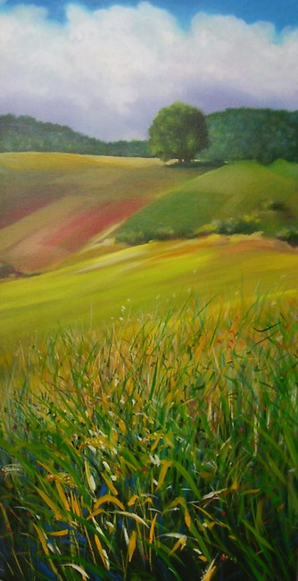 Colline a Maiottini