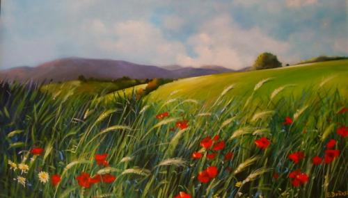 Colline a Maiottini