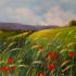 Colline a Maiottini