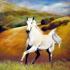 White horse
