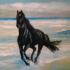 Black horse