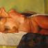 Eva sul letto07